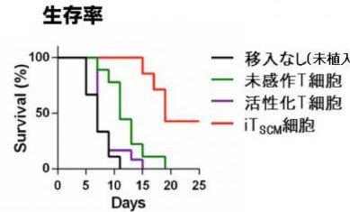 日本国立国际 医疗研究中心 中文服务