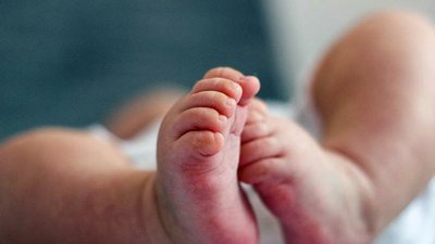 日本国立国际 医疗研究中心 中文服务