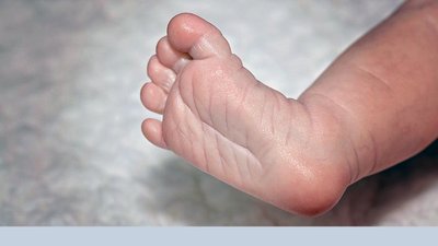 日本国立国际 医疗研究中心 中文服务